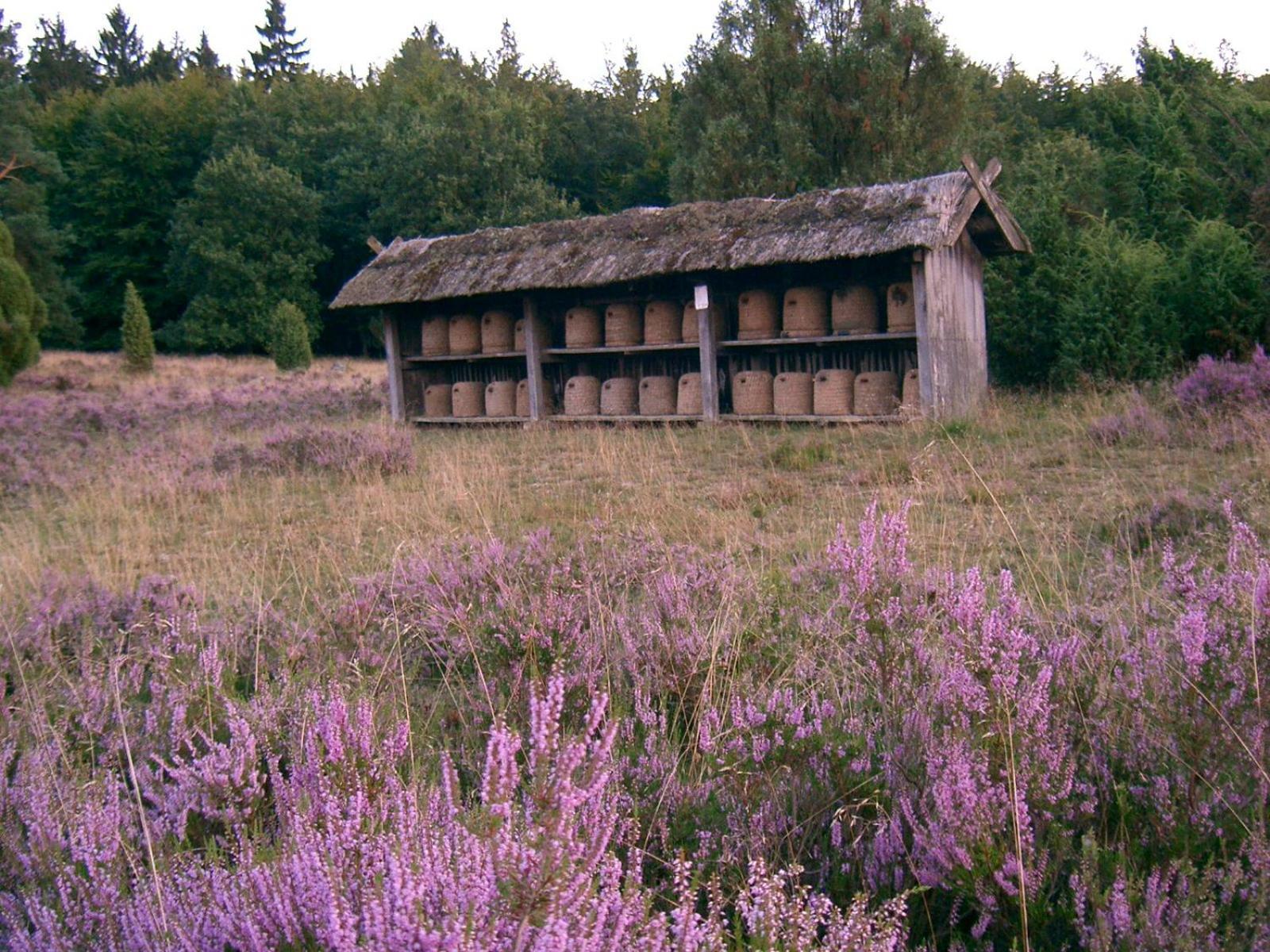 Haus Heidetal Bed & Breakfast Биспинген Екстериор снимка