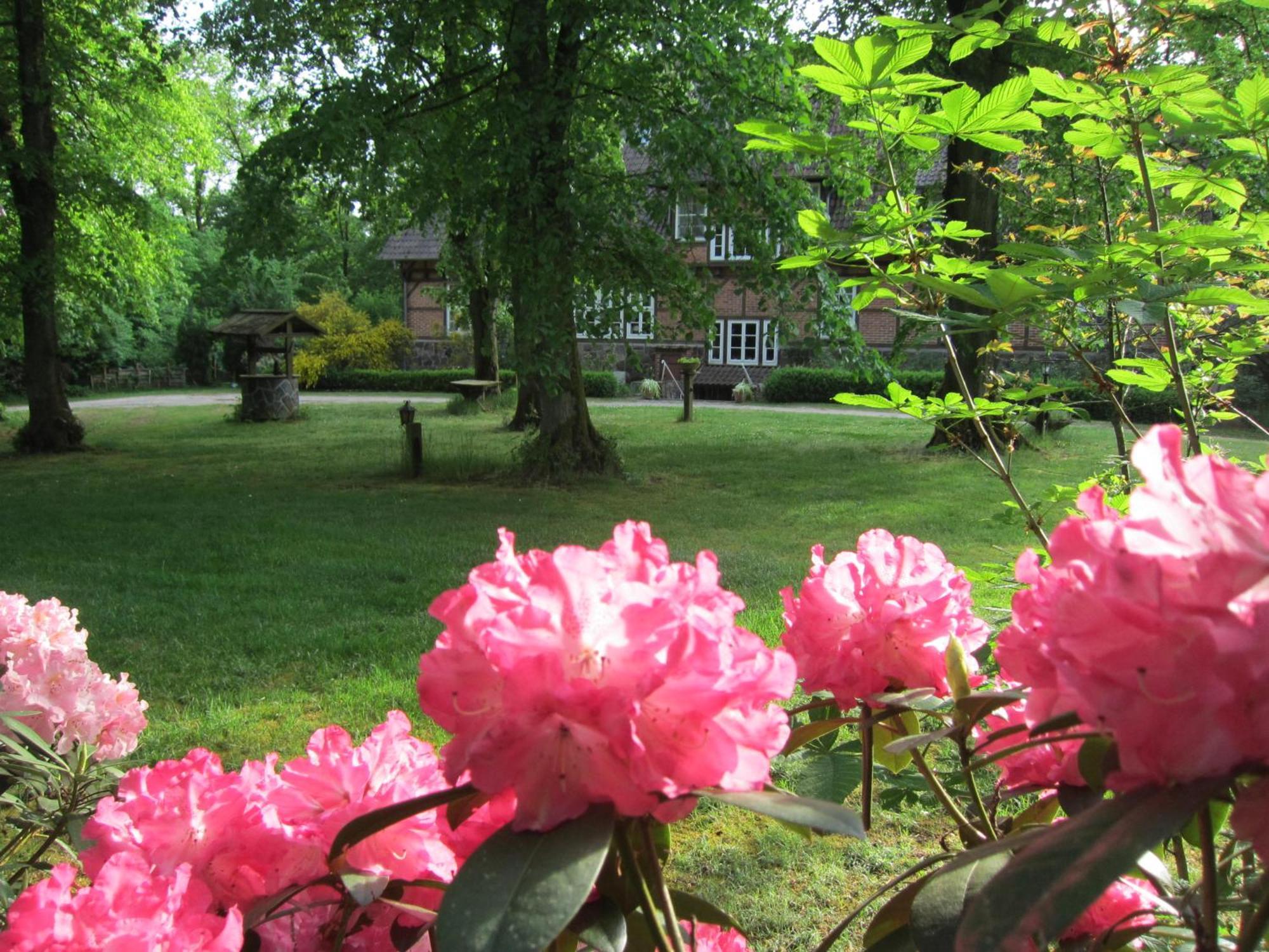 Haus Heidetal Bed & Breakfast Биспинген Екстериор снимка