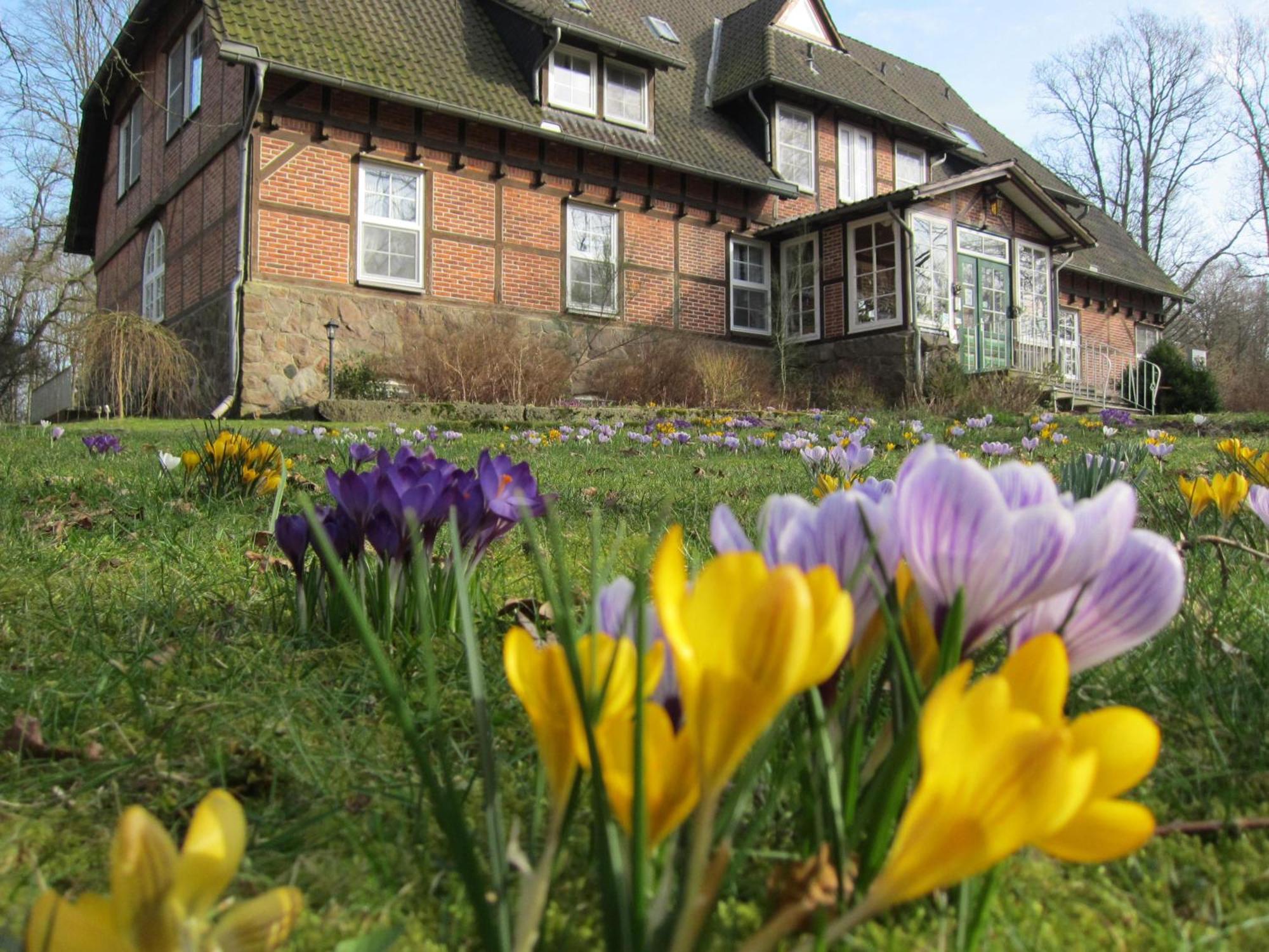 Haus Heidetal Bed & Breakfast Биспинген Екстериор снимка